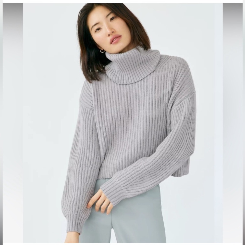 Aritzia Babaton 100% wool turtleneck